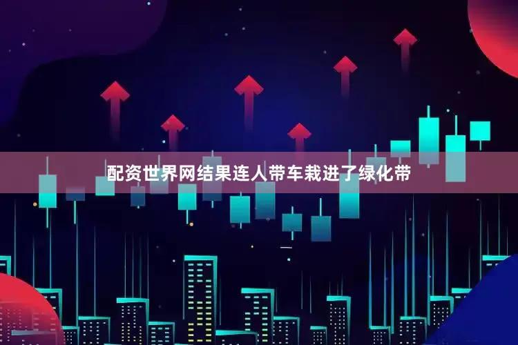 配资世界网结果连人带车栽进了绿化带