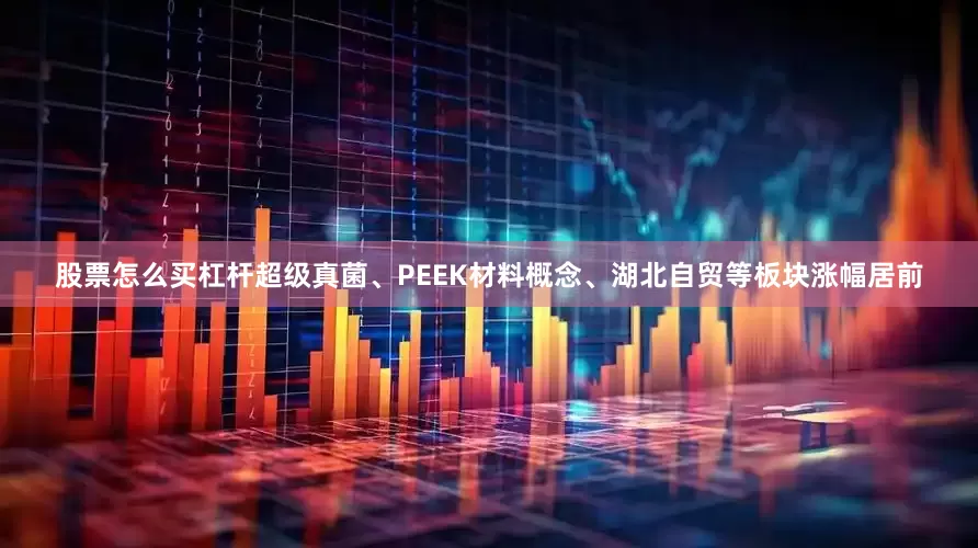 股票怎么买杠杆超级真菌、PEEK材料概念、湖北自贸等板块涨幅居前