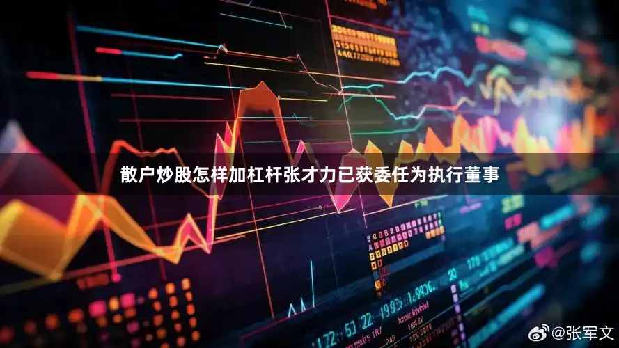 散户炒股怎样加杠杆张才力已获委任为执行董事