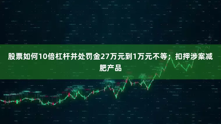 股票如何10倍杠杆并处罚金27万元到1万元不等；扣押涉案减肥产品